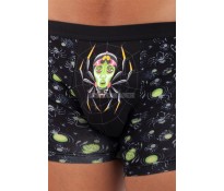 Boxeri Spider